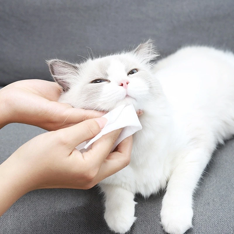 pet wipes for dogs pet wipes for dogs